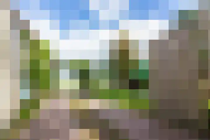 Molenweg 25 Andijk thumbnail 61