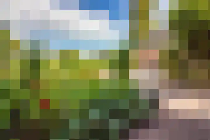 Molenweg 25 Andijk thumbnail 63