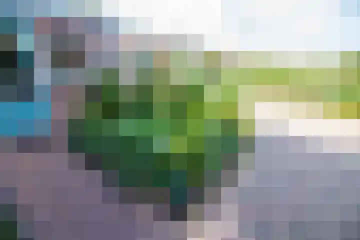 Molenweg 25 Andijk thumbnail 64