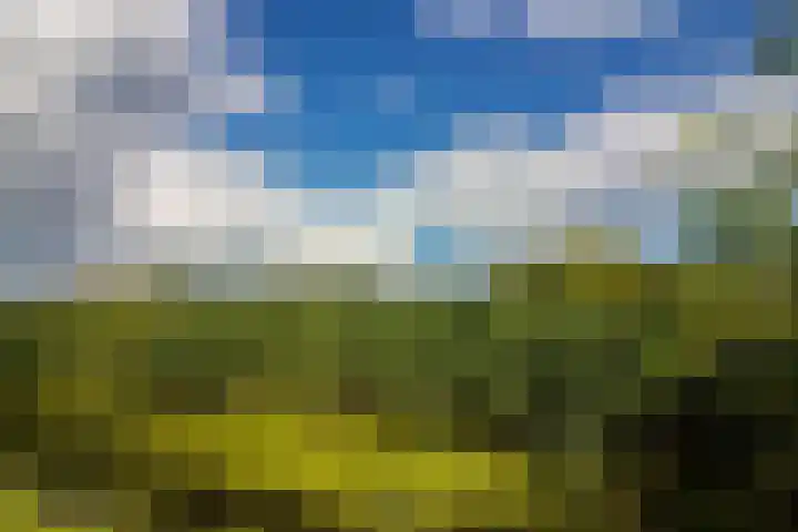 Molenweg 25 Andijk thumbnail 72