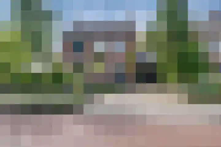 Molenweg 3 Dieren