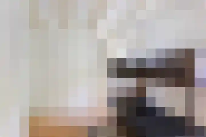 Molenweg 32 Epe thumbnail 12