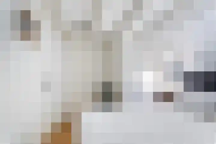 Molenweg 32 Epe thumbnail 15