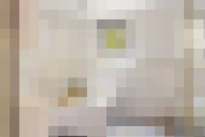 Molenweg 32 Epe thumbnail 18