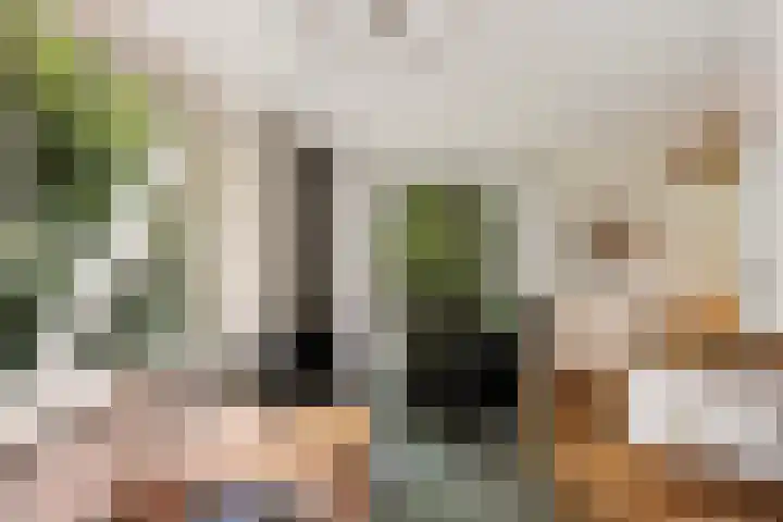 Molenweg 32 Epe thumbnail 6