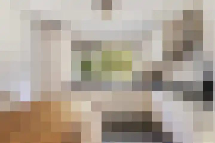 Molenweg 32 Epe thumbnail 8
