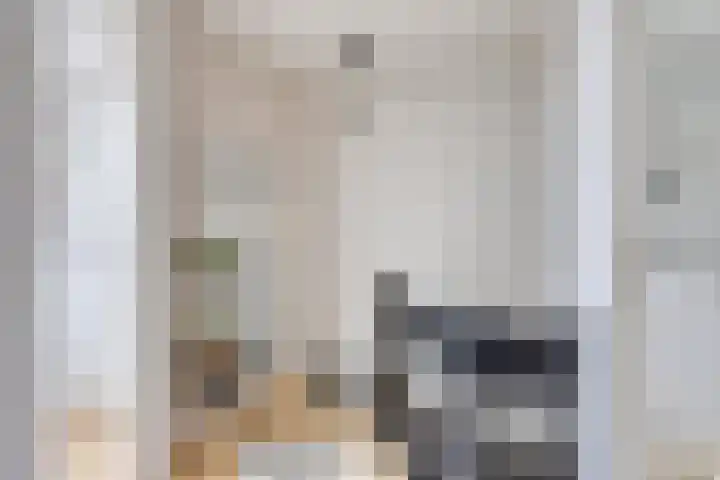 Molenweg 33 Arnemuiden thumbnail 16