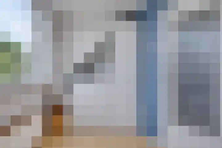 Molenweg 33 Arnemuiden thumbnail 21