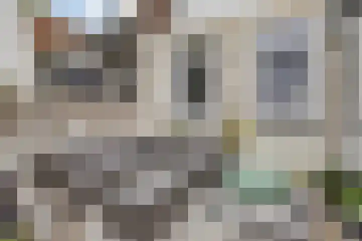 Molenweg 33 Arnemuiden thumbnail 23