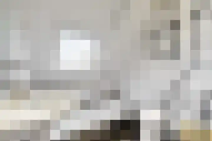 Molenweg 4 Burgerbrug thumbnail 27