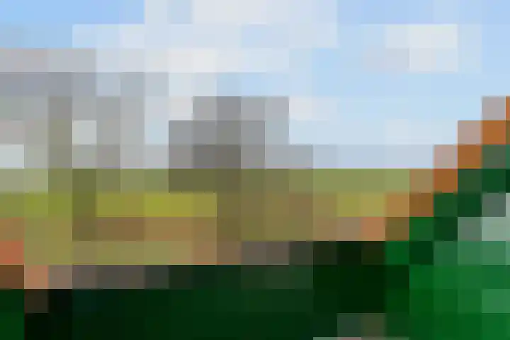 Molenweg 4 Burgerbrug thumbnail 33