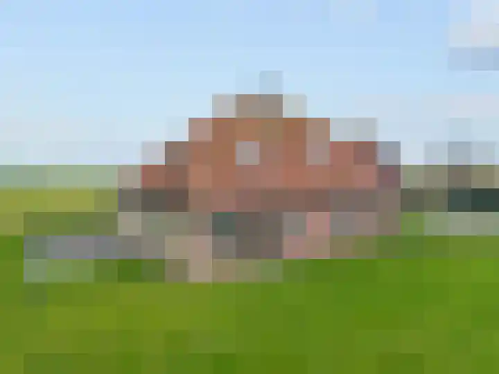 Molenweg 4 Burgerbrug thumbnail 63