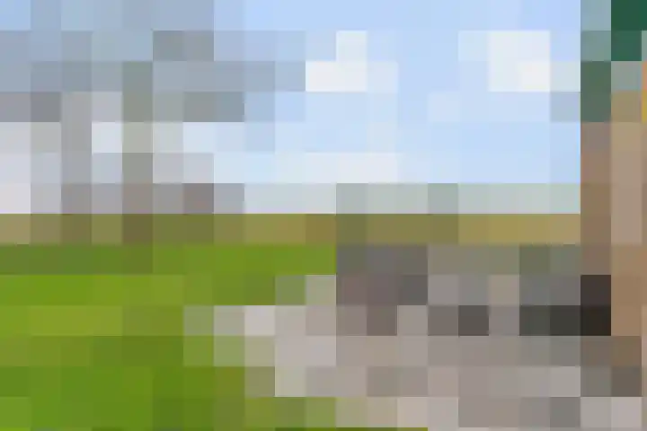 Molenweg 4 Burgerbrug thumbnail 69