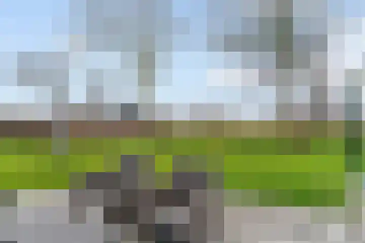 Molenweg 4 Burgerbrug thumbnail 70