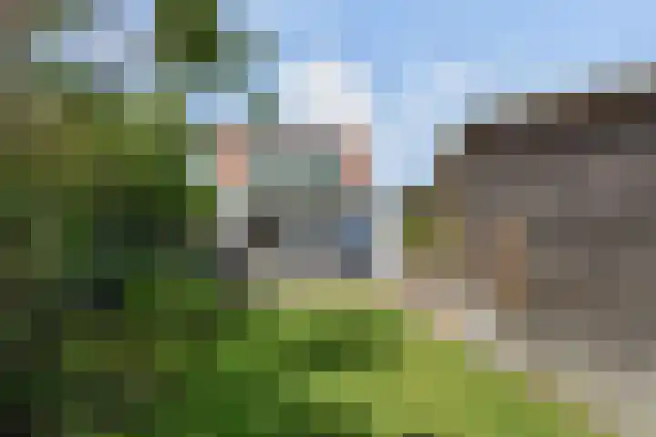 Molenweg 47 Nootdorp thumbnail 27