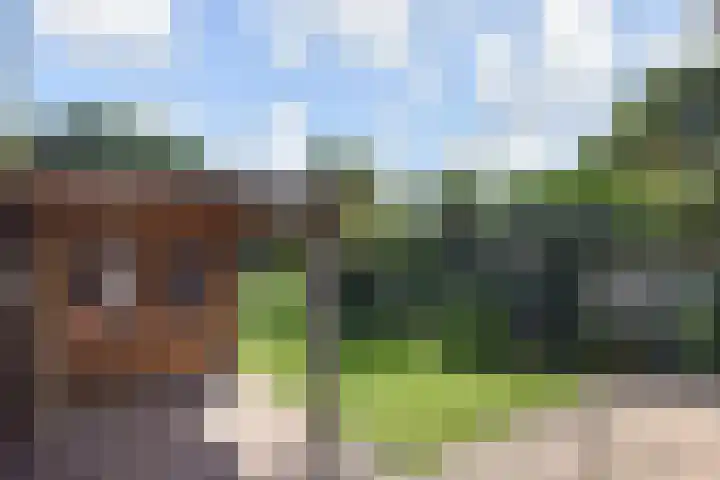 Molenweg 47 Nootdorp thumbnail 4
