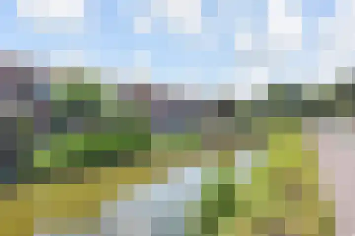 Molenweg 47 Nootdorp thumbnail 43