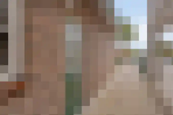 Molenweg 65 Berghem thumbnail 10