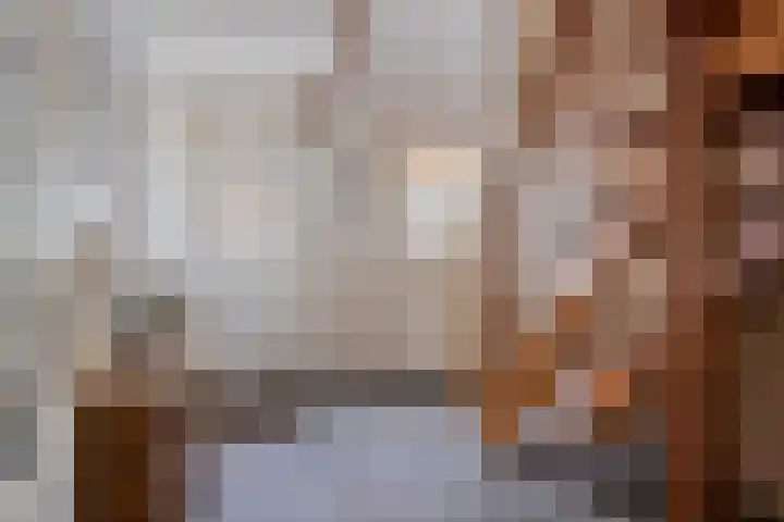Molenweg 65 Berghem thumbnail 12