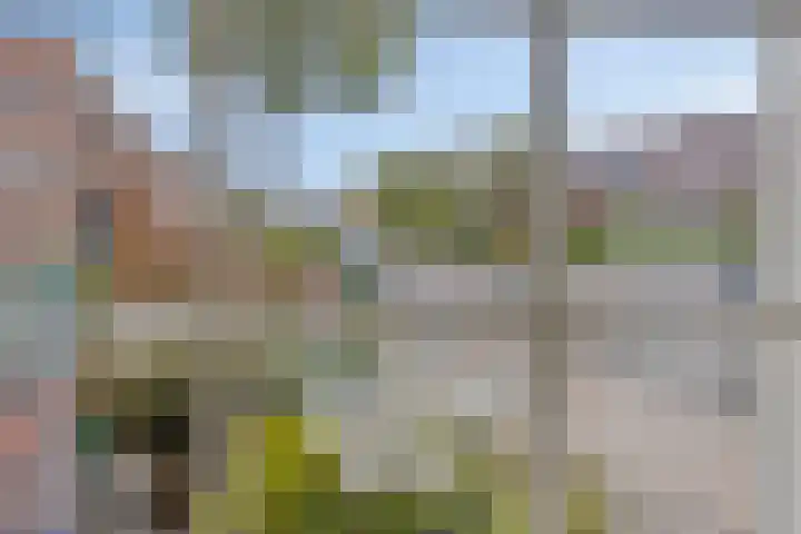 Molenweg 65 Berghem thumbnail 14