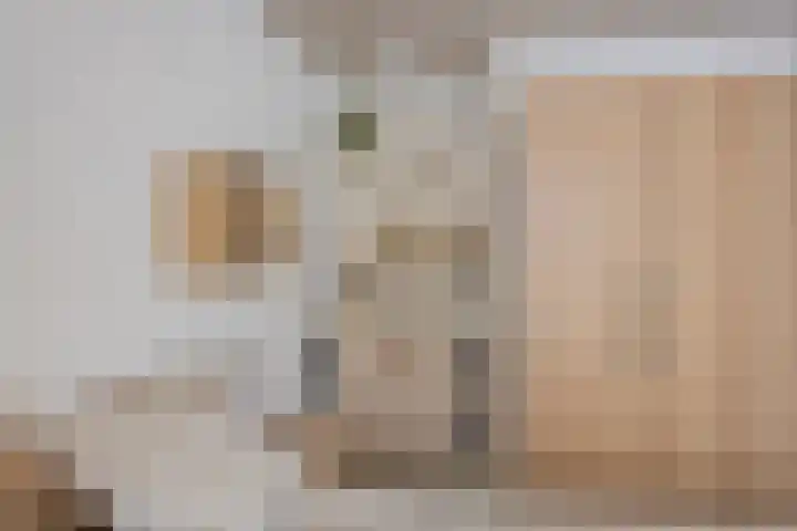 Molenweg 65 Berghem thumbnail 30