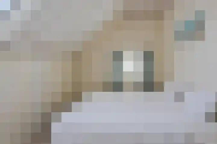 Molenweg 65 Berghem thumbnail 38
