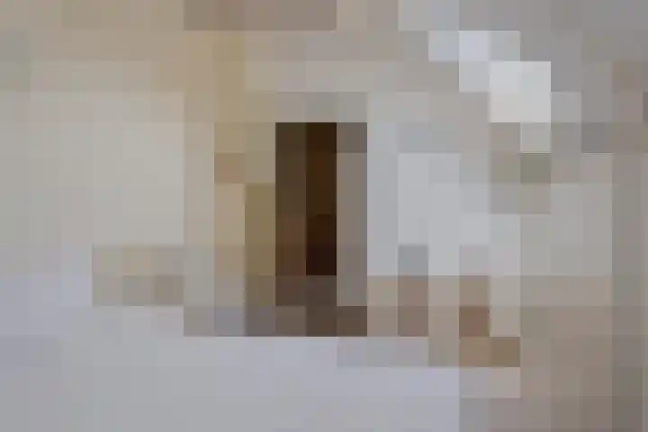 Molenweg 65 Berghem thumbnail 39