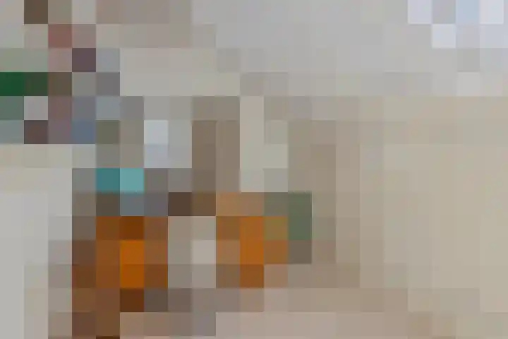 Molenweg 65 Berghem thumbnail 40