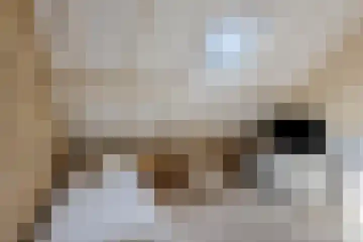 Molenweg 65 Berghem thumbnail 43