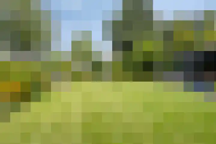 Molenweg 65 Berghem thumbnail 54