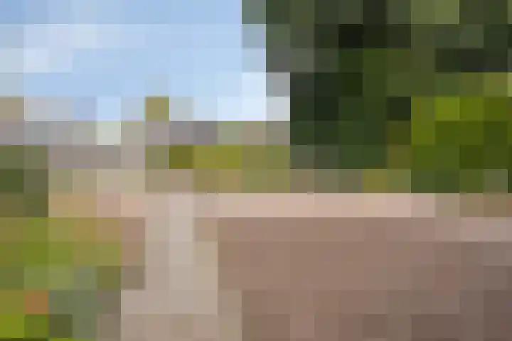 Molenweg 65 Berghem thumbnail 59