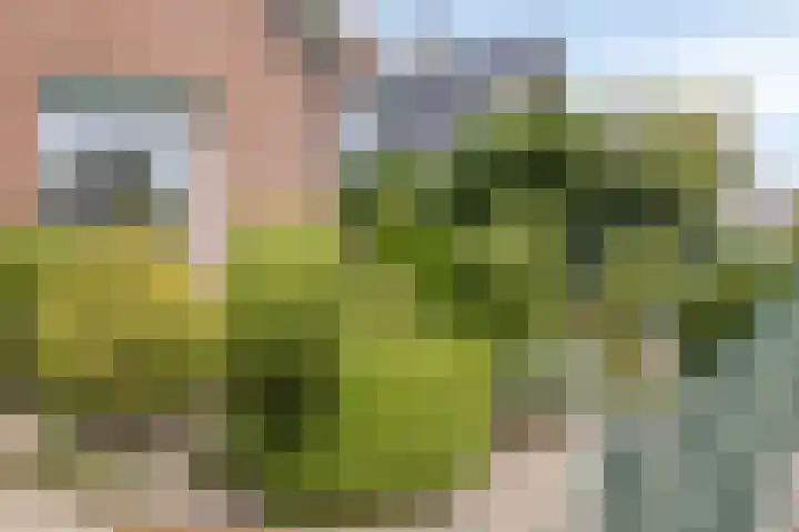 Molenweg 65 Berghem thumbnail 69