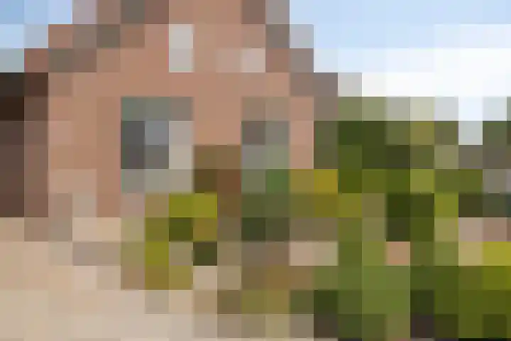 Molenweg 65 Berghem thumbnail 8