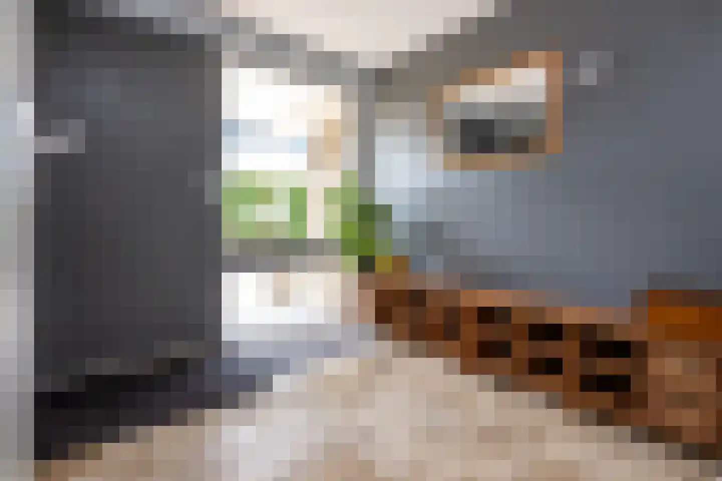 Molenweg 8 a Middelharnis thumbnail 7