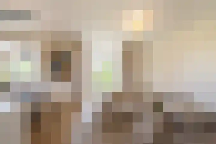 Molenweide 11 Delft thumbnail 13