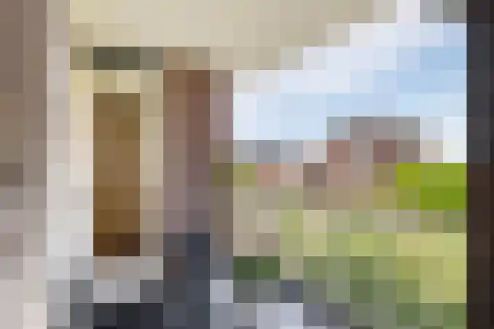 Molenweide 11 Delft thumbnail 28
