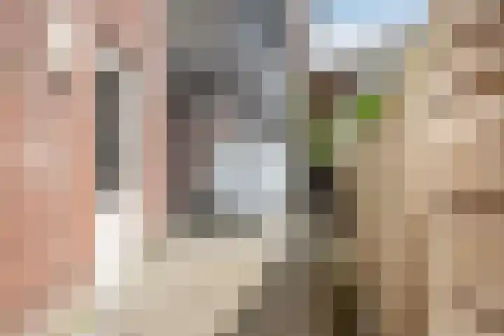 Molenweide 11 Delft thumbnail 35