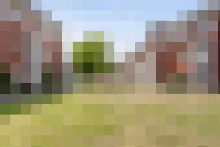 Molenweide 11 Delft thumbnail 41
