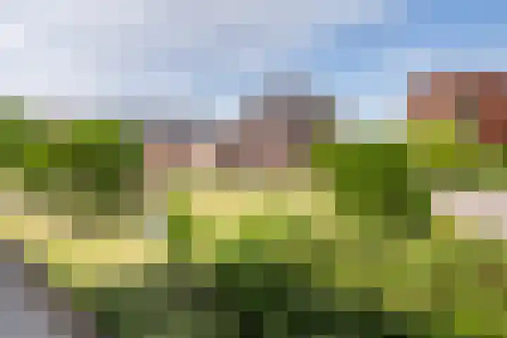 Molenweide 11 Delft thumbnail 42