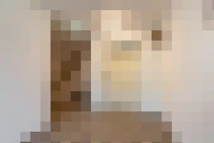Molenweide 11 Delft thumbnail 8