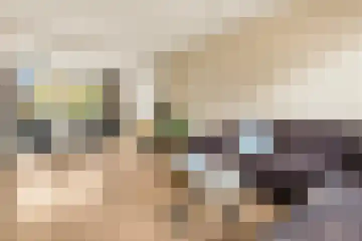 Molenwerf 1 Spaarndam thumbnail 18