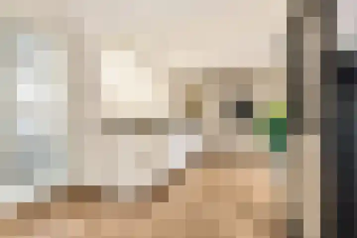 Molenwerf 1 Spaarndam thumbnail 25