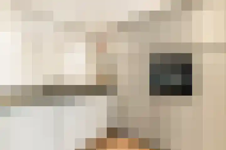 Molenwerf 1 Spaarndam thumbnail 29