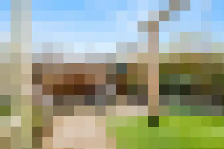 Molenwerf 1 Spaarndam thumbnail 34