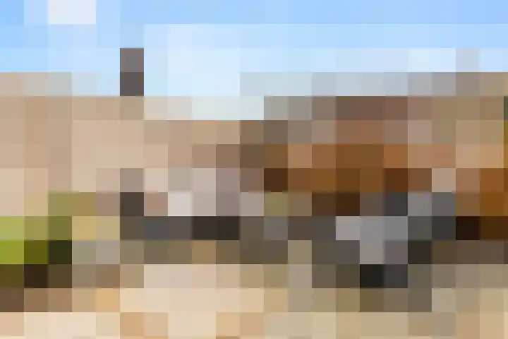 Molenwerf 1 Spaarndam thumbnail 36