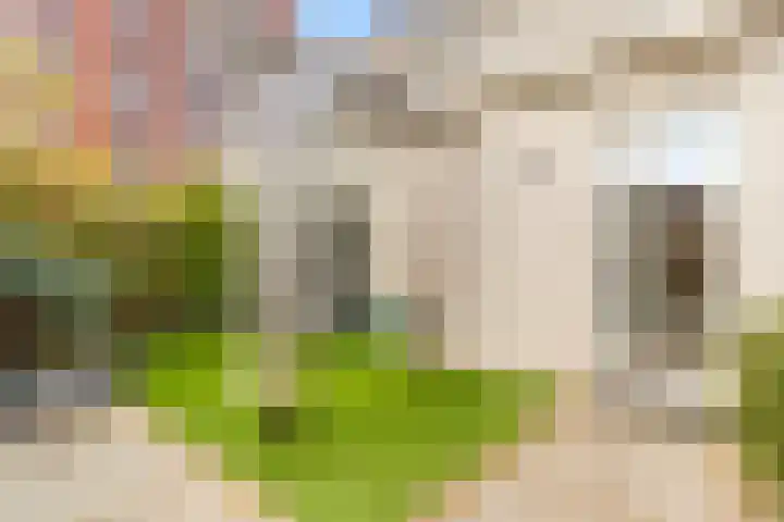 Molenwerf 1 Spaarndam thumbnail 40