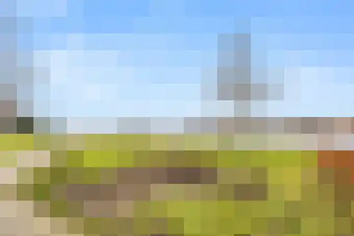 Molenwerf 1 Spaarndam thumbnail 46