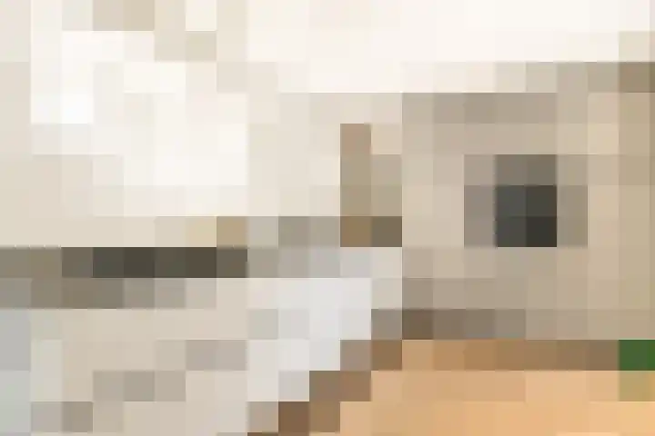Molenwerf 1 Spaarndam thumbnail 5