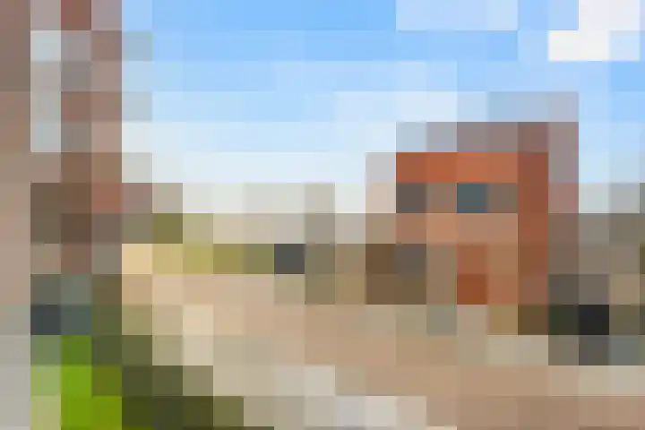 Molenwerf 1 Spaarndam thumbnail 51