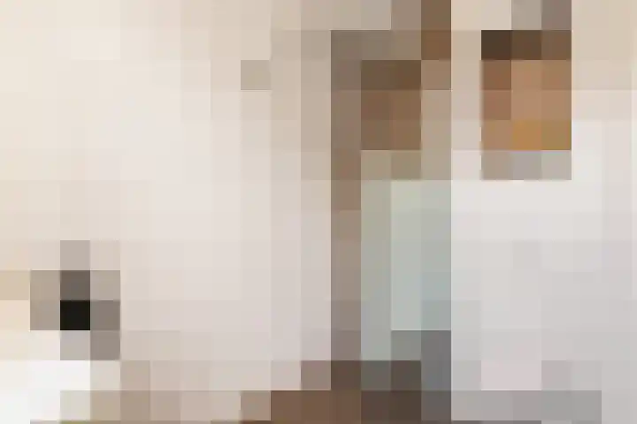 Molenwerf 1 Spaarndam thumbnail 61